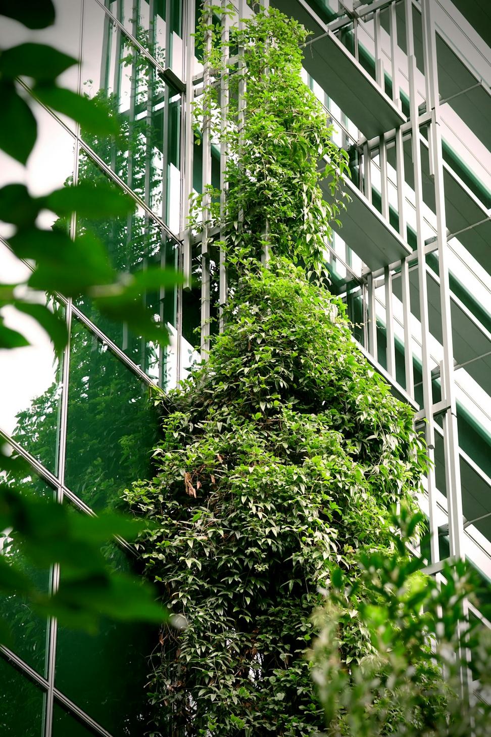 Eco-Tech Hub